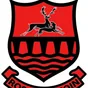 New Ross RFC crest